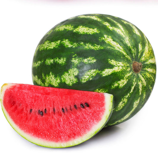 Wild Watermelon